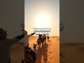 The Ancient Desert Skills: Conquering Arid Challenges
