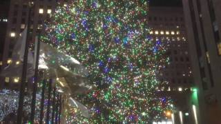 New York's big Christmas tree 2016