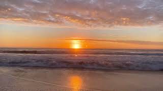 We Have Dots To Connect