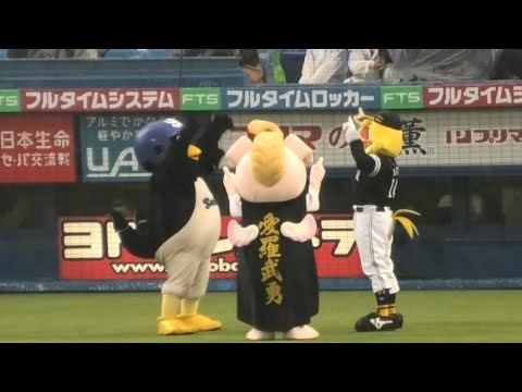 つば九郎・バリカタくん・ハリーホークの謎のダンス 2023/6/15