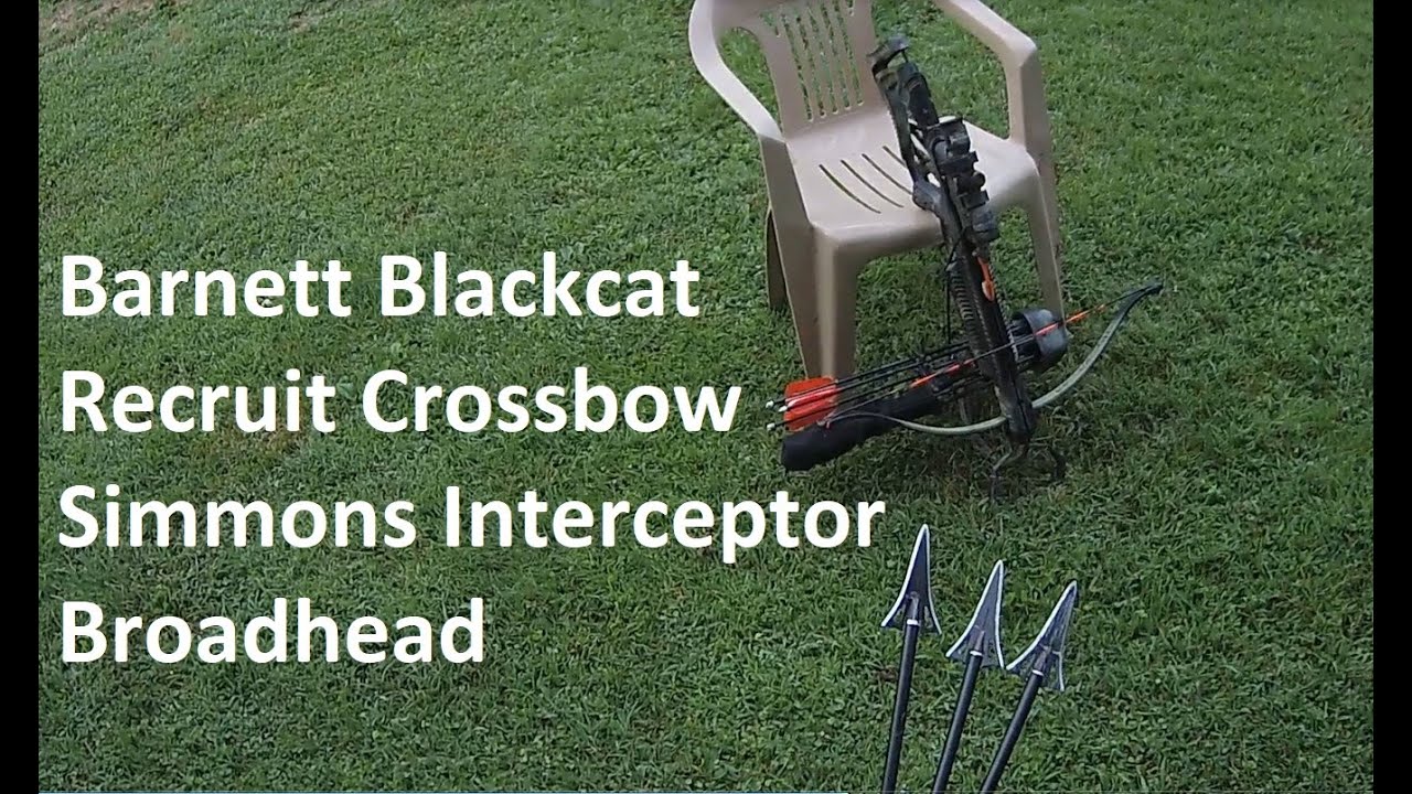 Blackcat Recruit SIMMONS SHARK INTERCEPTOR broadhead YouTube