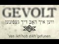 Gevolt - Sheyn Vi Di Levone (Lyrics video)