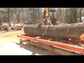 How many 2x6 does a man need? Big WP Log  Woodmizer LT15 Part 1