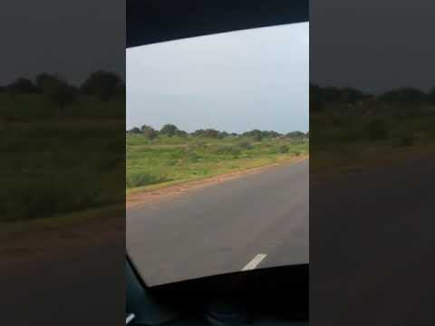 طريق رهيد البردي نيالا السودان