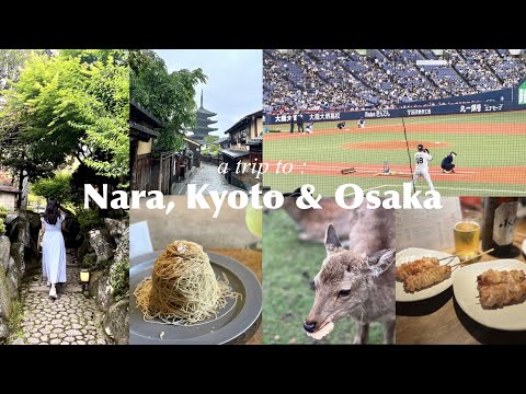 Kansai Vlog｜Capsule Hotel Experience Kyoto, Food Tour (Warabimochi, Best Ramen, etc.), Baseball Game
