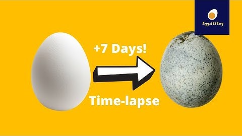 Eggciting: Hard Boiled Egg Time Lapse #TimeLapse