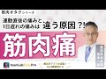 【筋肉痛】運動直後と1日遅れの筋肉痛の違いを解説します!