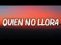 LEFTY SM // QUIEN NO LLORA // LETRA/LYRICS)