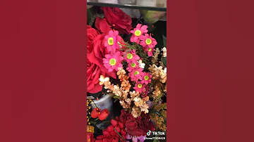 احلي واجمل اغنيه صباح الخير يالي معنا ام كلثوم 