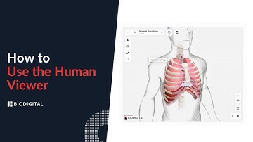 How to use the BioDigital Human Viewer