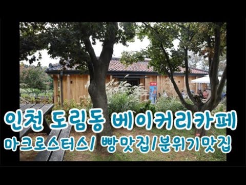 마크로스터스