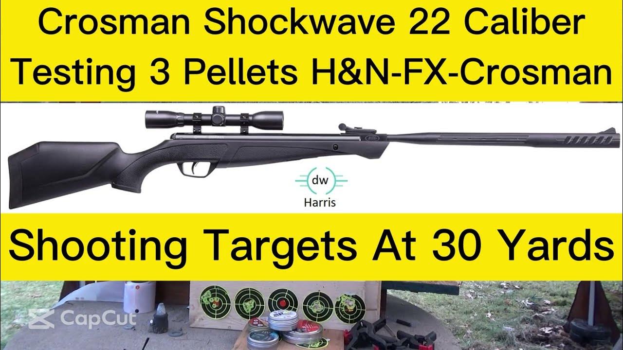 Crosman Shockwave 22 Caliber Break Barrel Air Rifle Pellet Testing