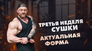 Третья неделя сушки| Тренировка с учеником| Актуальная форма