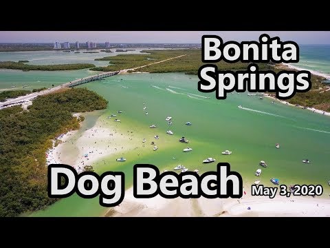 Bonita Springs Dog Beach {Relaxing 4K Drone Shots} {Newpass, Lovers Key}  Coronavirus