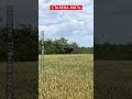 🔥Німецька “кішка” в ЗСУ! Танк “Leopard 1” виїхав “на передок” #shorts
