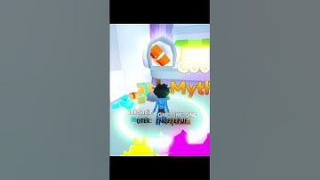 Day 3 of checking my mailbox! || #petsimx