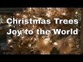 Christmas Tree - Joy to the World - 4K UltraHD - 2016