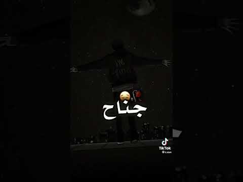 مكسور بيه جناح حياتي كلها جراح