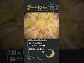 【トロトロ】豚バラと白菜のミルフィーユ鍋 の作り方〜絶品白菜レシピ〜