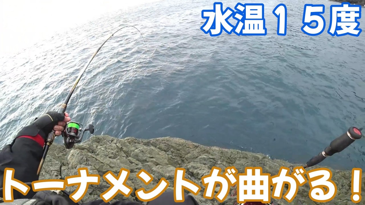 The Daiwa Tournament Iso rod bends in low water temperatures