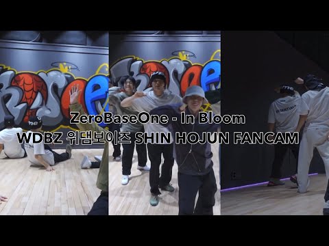 [Hojun Focus] ZeroBaseOne - "In Bloom" (Choreography Demo Version)