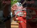 kalau dapat kepiting segede ini diapaain ya