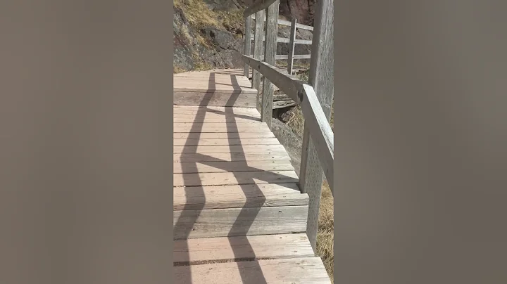 Walking the signal hill trail from the bottom up