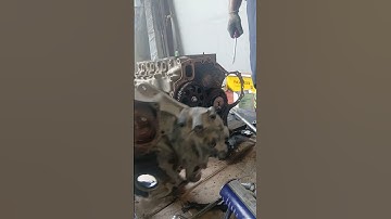 how to remove engine timing plate #isuzumechanic