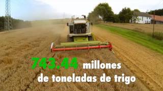 RESUMEN 19 AGOSTO