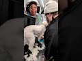 Stop Brushing Your Doodle Wrong! 🐩 | PNWGROOMS Mobile Grooming
