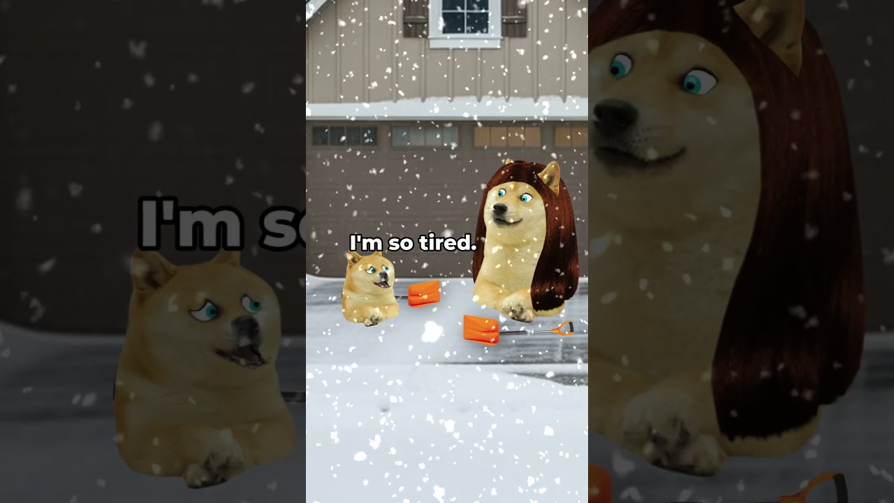 lil doge shovels snow