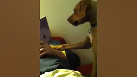 Floyd talks