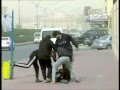 دنيا بوشين                                          من كل خرابة عفريت نجومي