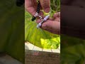 Couple Bracelet #couple #couplebracelet #bracelet #bracelets