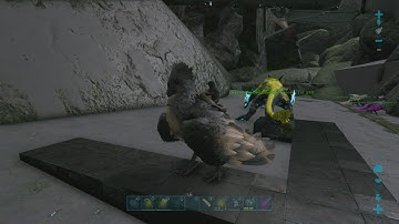 AMAZING EXTINCTION MESH SPOT! ARK MESHING EVOLVED * WORKS ON OFFICIAL*