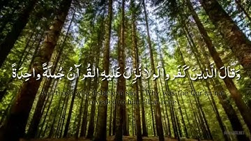 حالات واتس اب قرآنيه ||مقطع من سورة الفرقان| القارئ رعـد الكردي