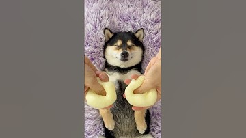 Manyu ASMR - Immersive Relaxation SPA | 1-Minute Lite Edition