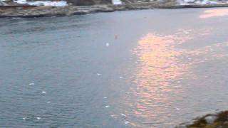 MVI_8400.MOV