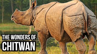 10 Weird And Wonderful Animals That Can Be Found In Chitwan National Park