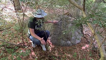 Glacial Erratic Video