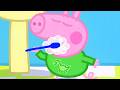 Peppa Wutz LIVE 🌞 Guten Morgen mit Peppa! ✨ Cartoons Auf Deutsch