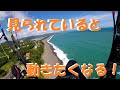 高知　芸西フライト　真夏のダンス【パラグライダー】