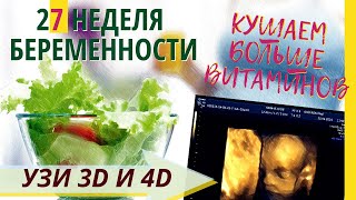 27 неделя беременности. Развитие плода. УЗИ 3D и 4D. Что чувствует беременная  Как выглядит ребенок