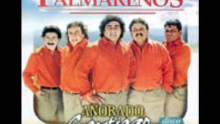 Video thumbnail of "por tu amor soy un borracho los palmareños"