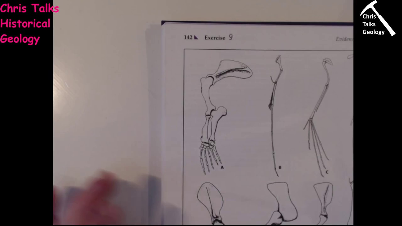 Lab Assignment - Exercise 9 - YouTube