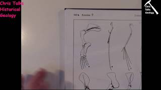 Lab Assignment - Exercise 9