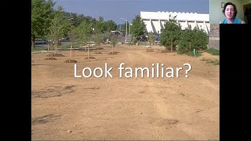 Soil Profile Rebuilding: Rehabilitating Compacted Soils