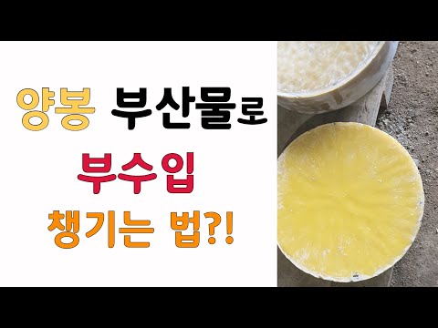 밀랍 만들어 부수입 챙기기(How to render beeswax, first step, In korea)