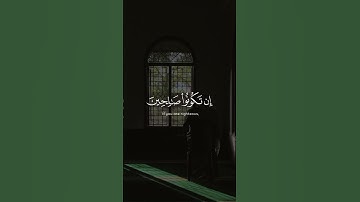 قاري #الشيخ #فارس_عباد #سورة #الإسراء