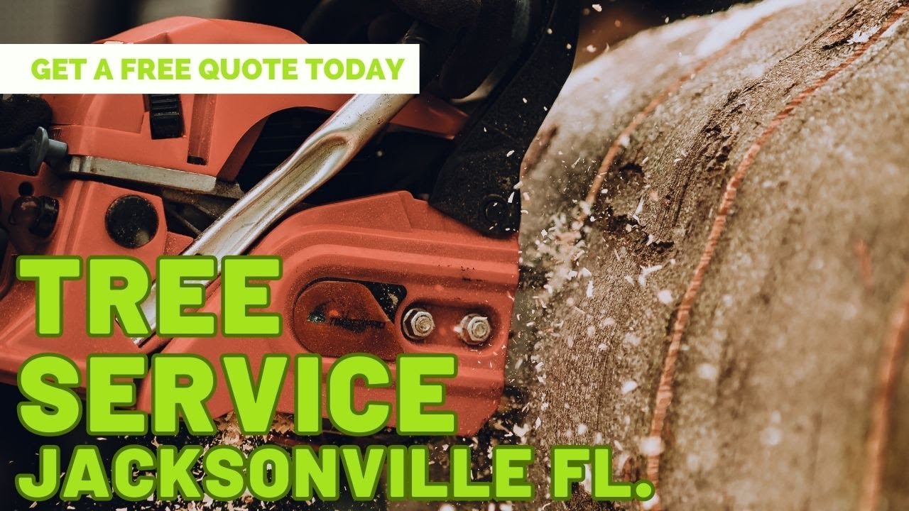Tree Service Jacksonville Florida | Jacksonville Tree Removal - YouTube